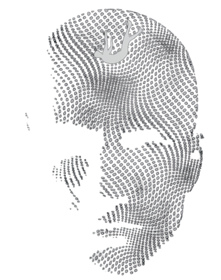 Stuntmind Logo